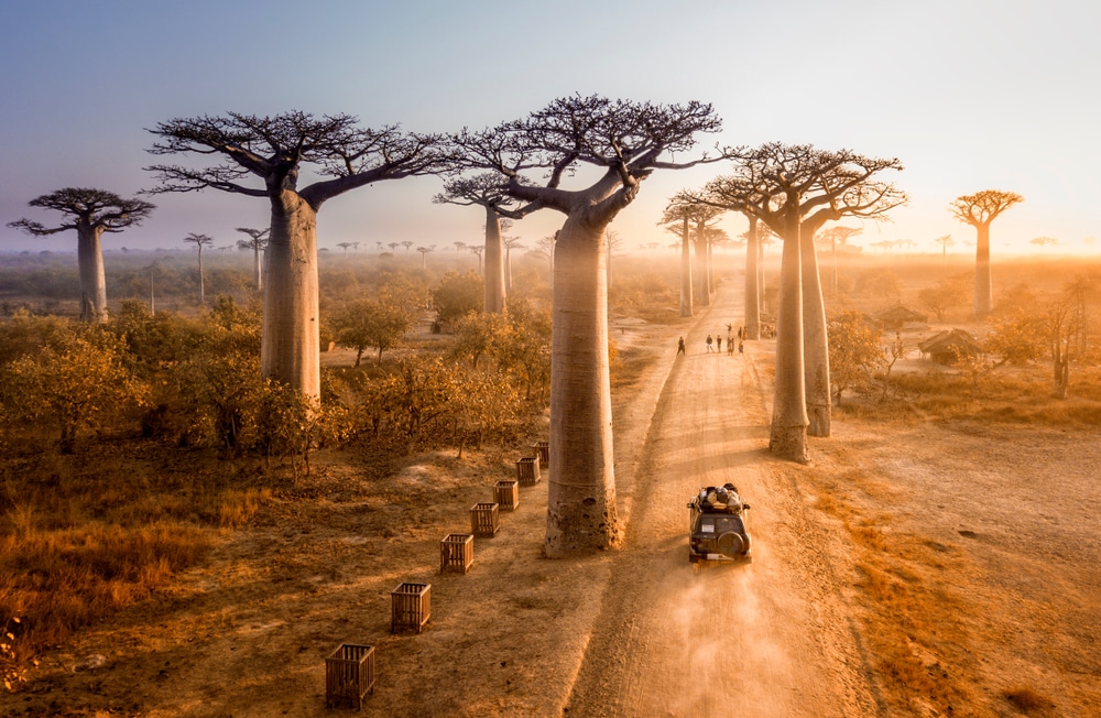 Putovanje u Madagaskar