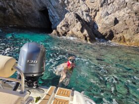 Ronjenje s maskom u kristalno čistom moru ispred Plave špilje na otoku Koločepu tijekom privatnog izleta brodom iz Dubrovnika.